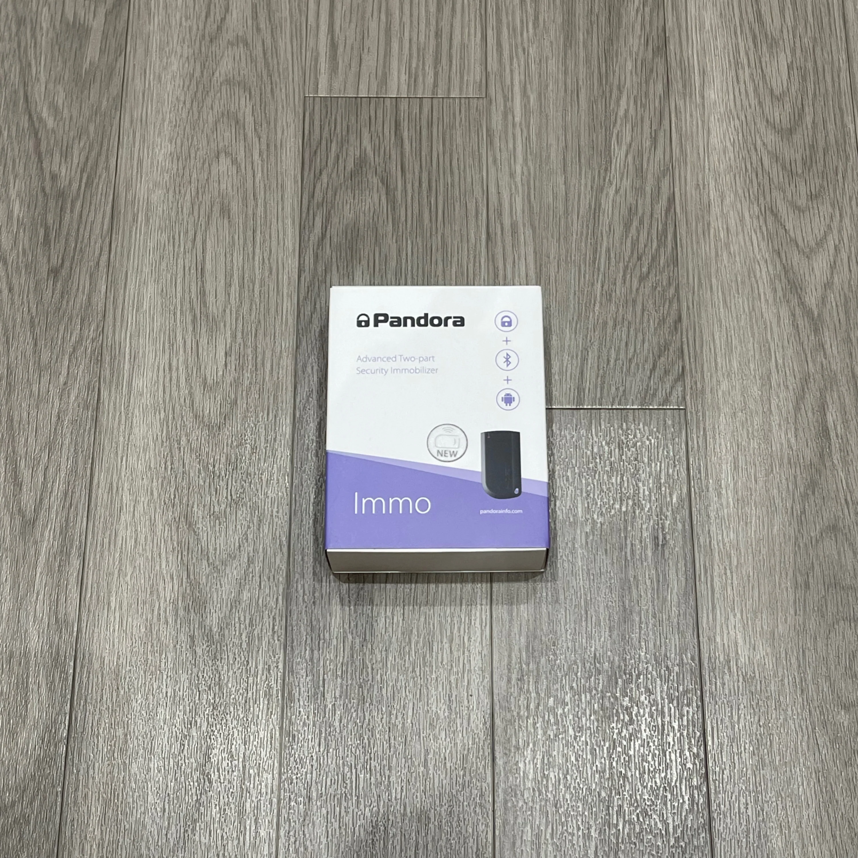 Pandora Immo – Immobiliser System Installation - Image 2