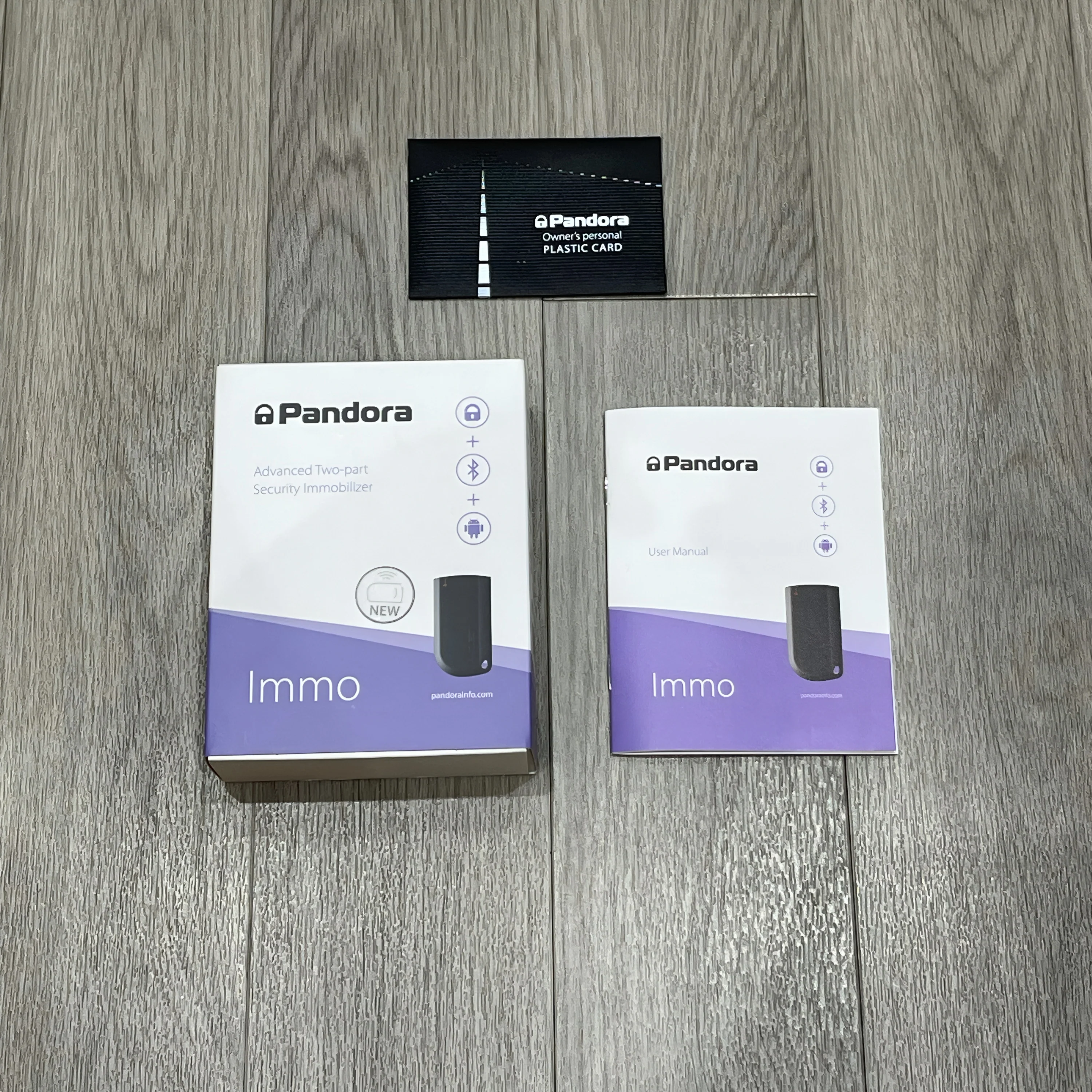 Pandora Immo – Immobiliser System Installation - Image 3